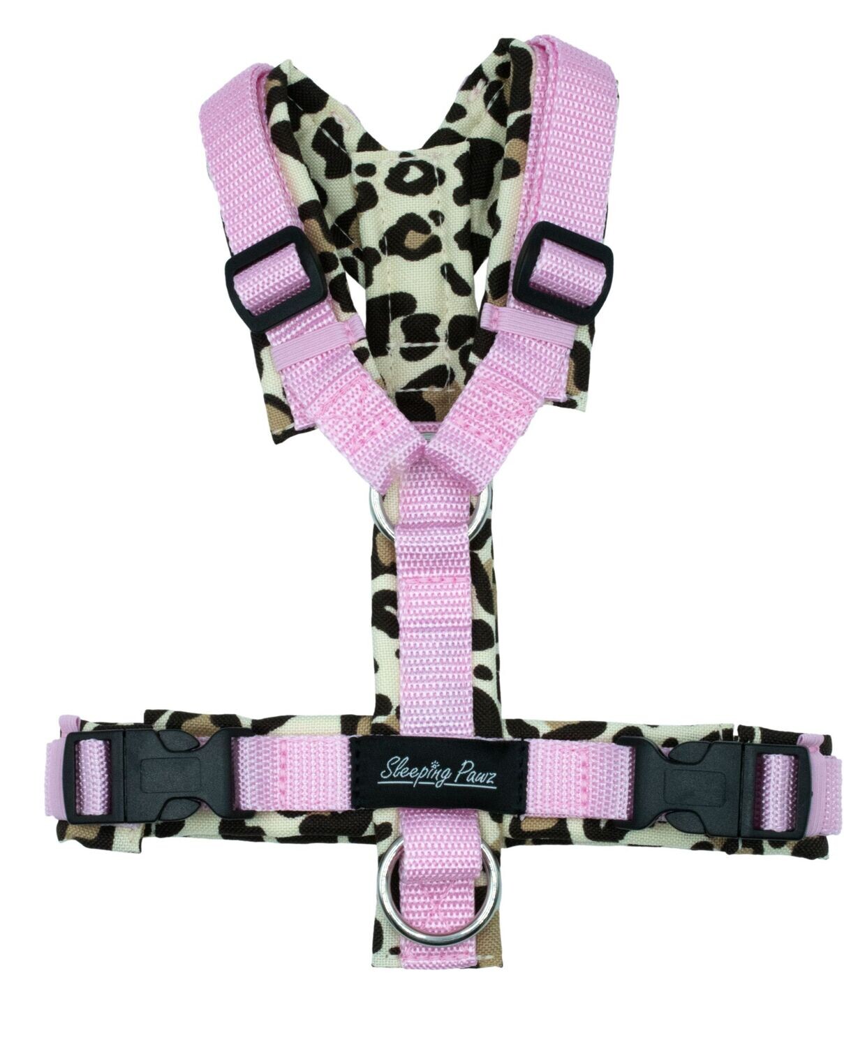 Gr. XS Leolove x Rosa