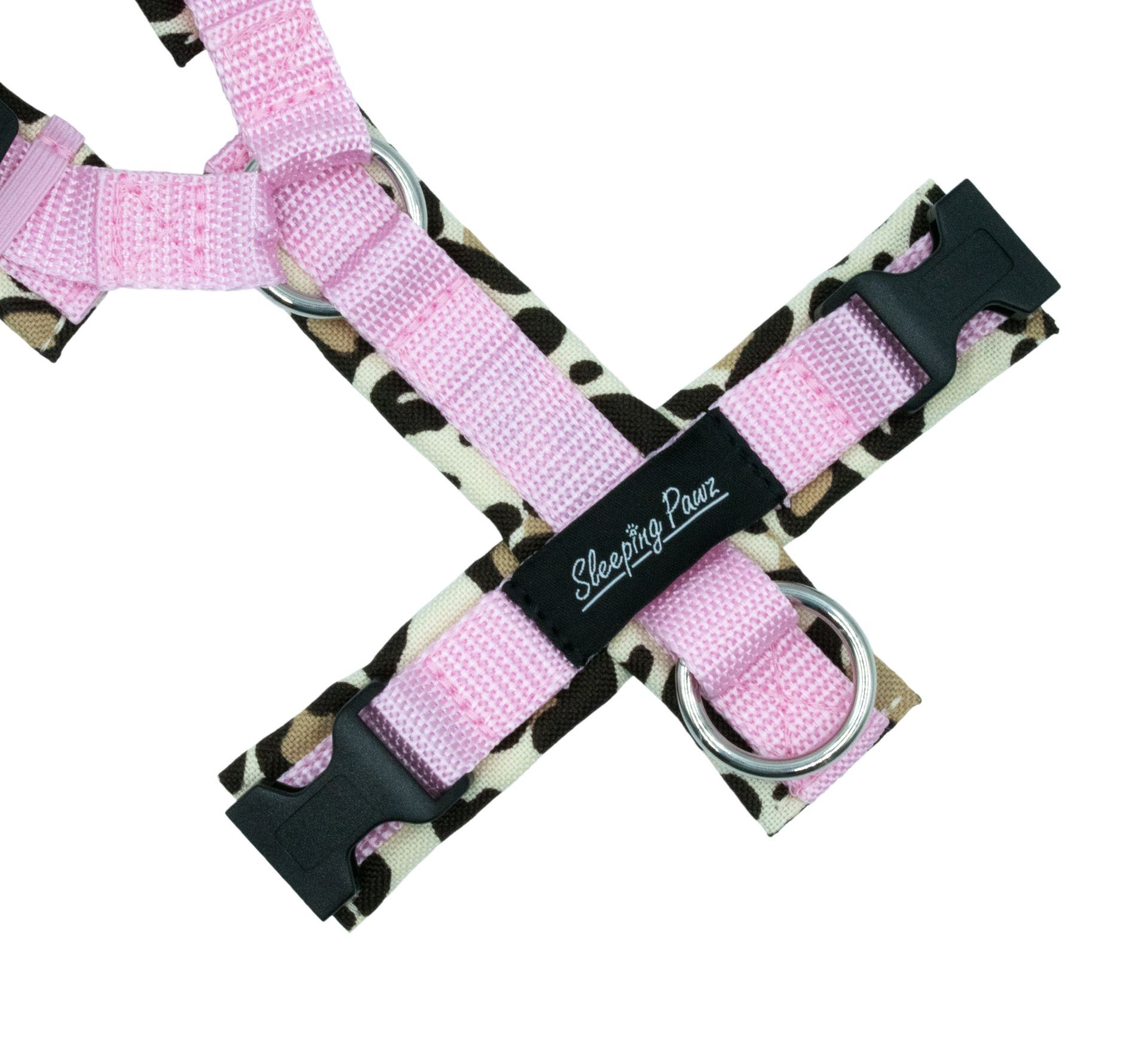 Gr. XS Leolove x Rosa