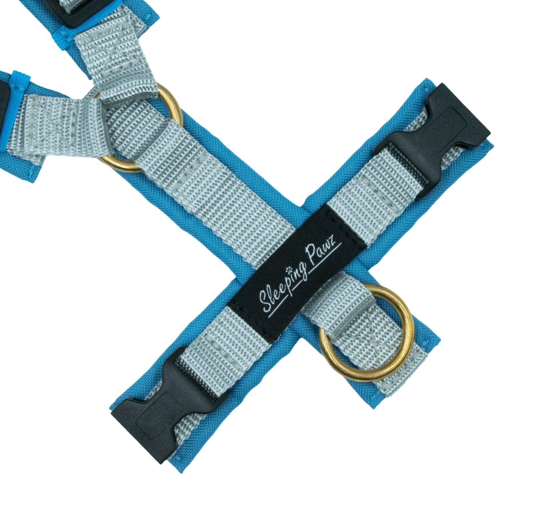 Gr. XS Taubenblau x Silbergrau