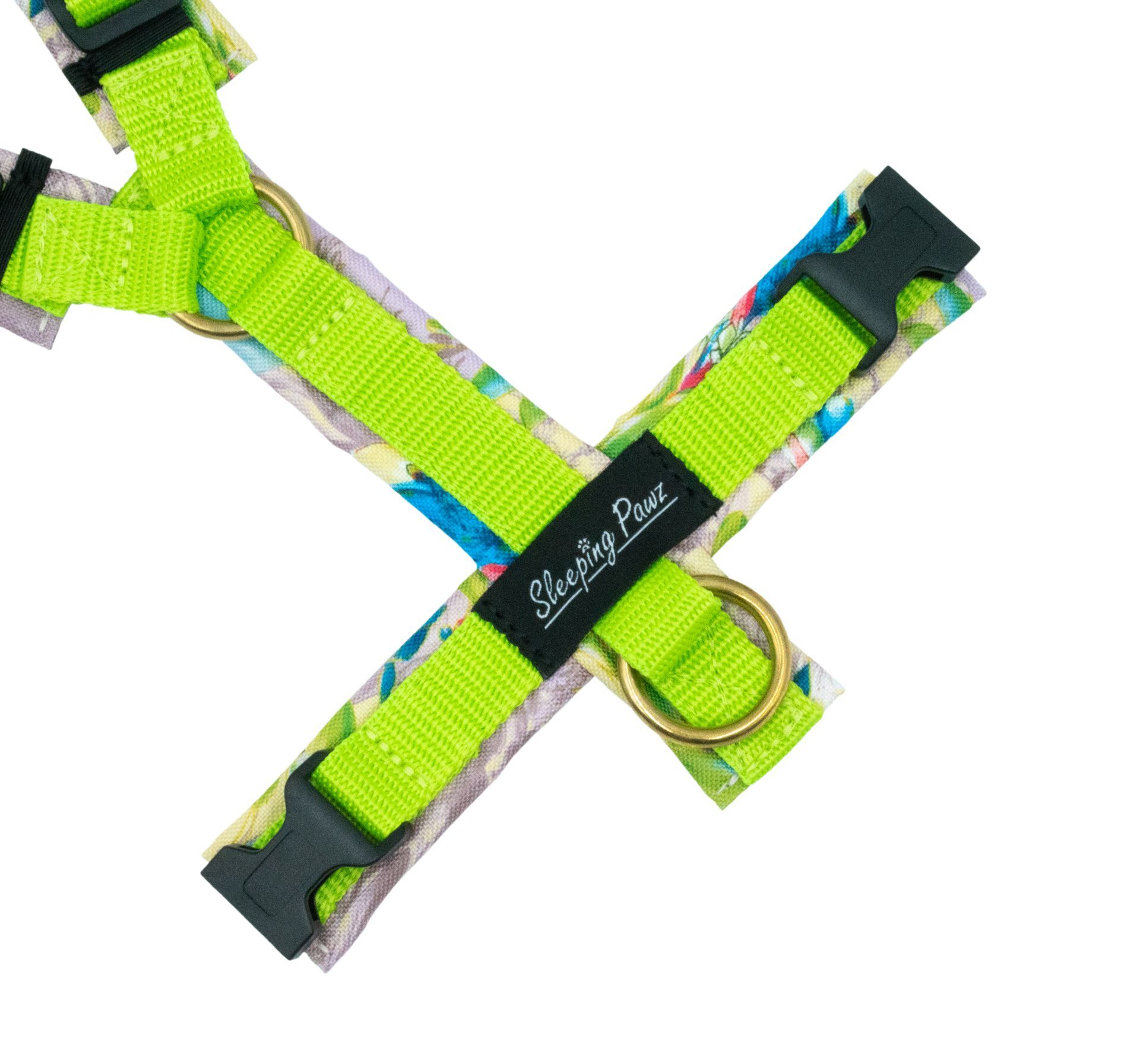 Gr. S Royal Lily x Pistazie