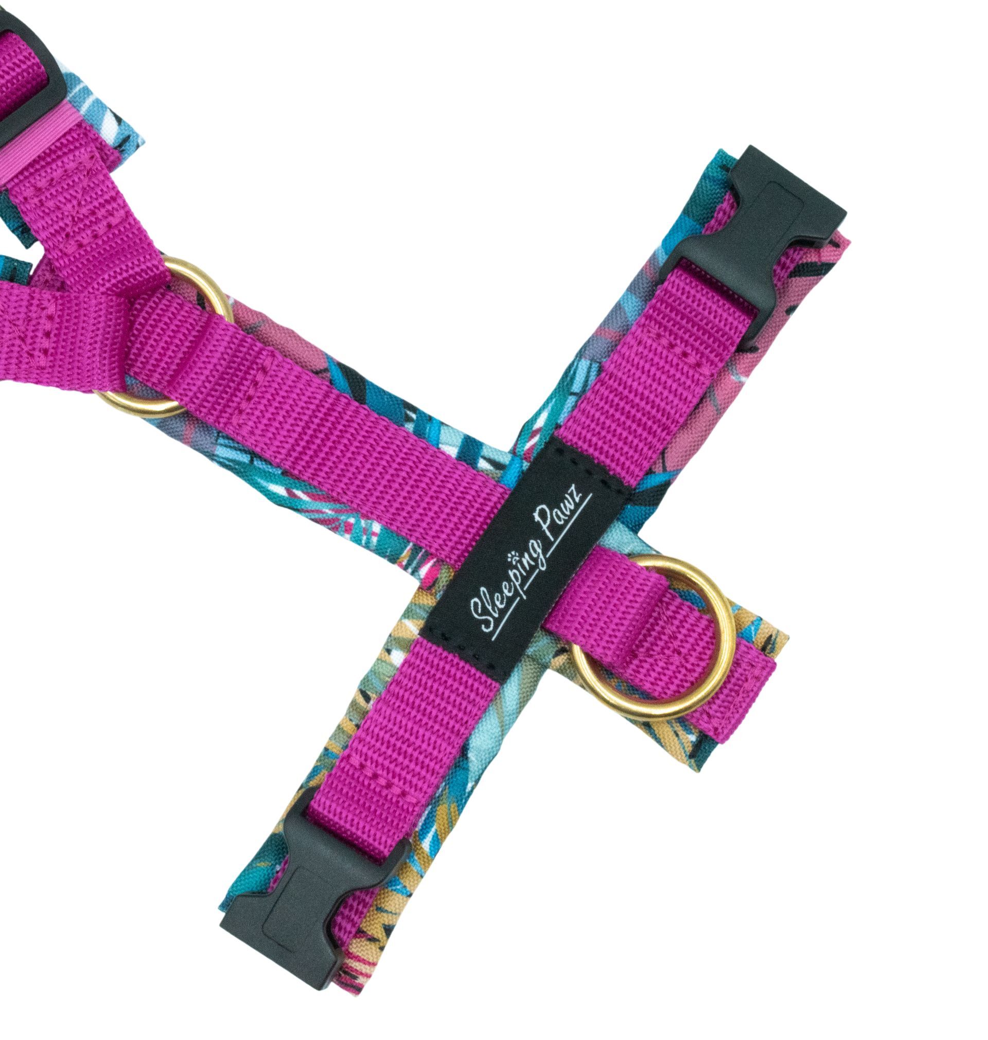 Gr. S Bahamas x Pink