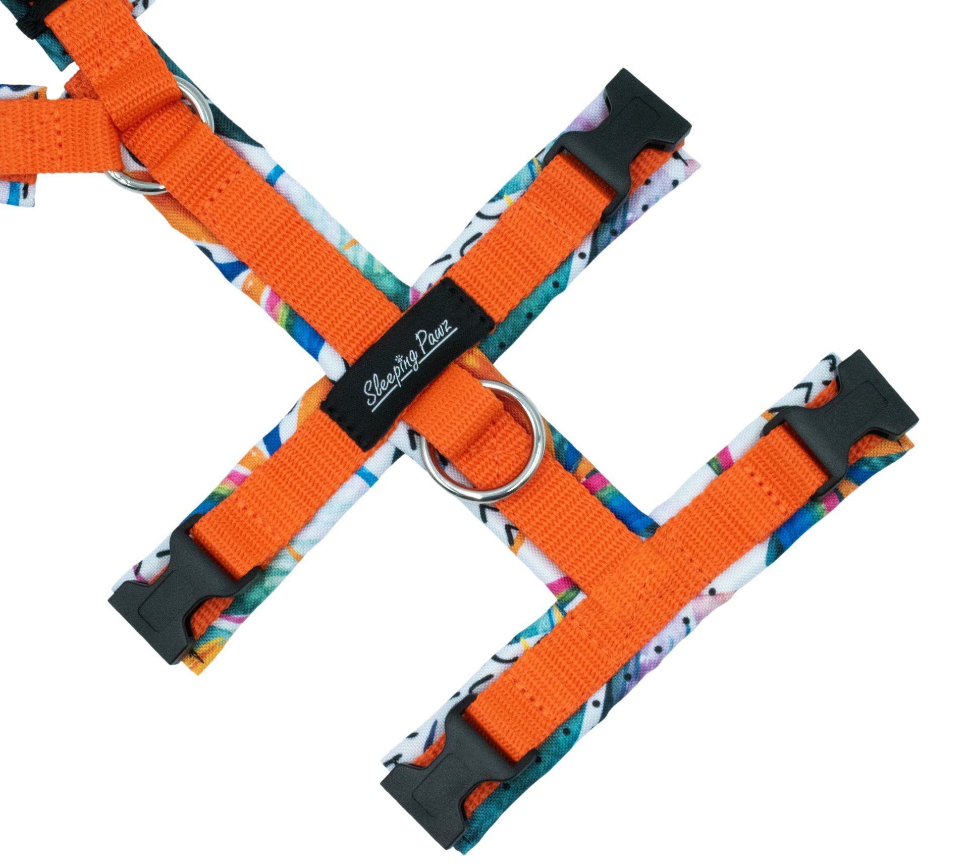 Gr. S Strelitzie x Orange