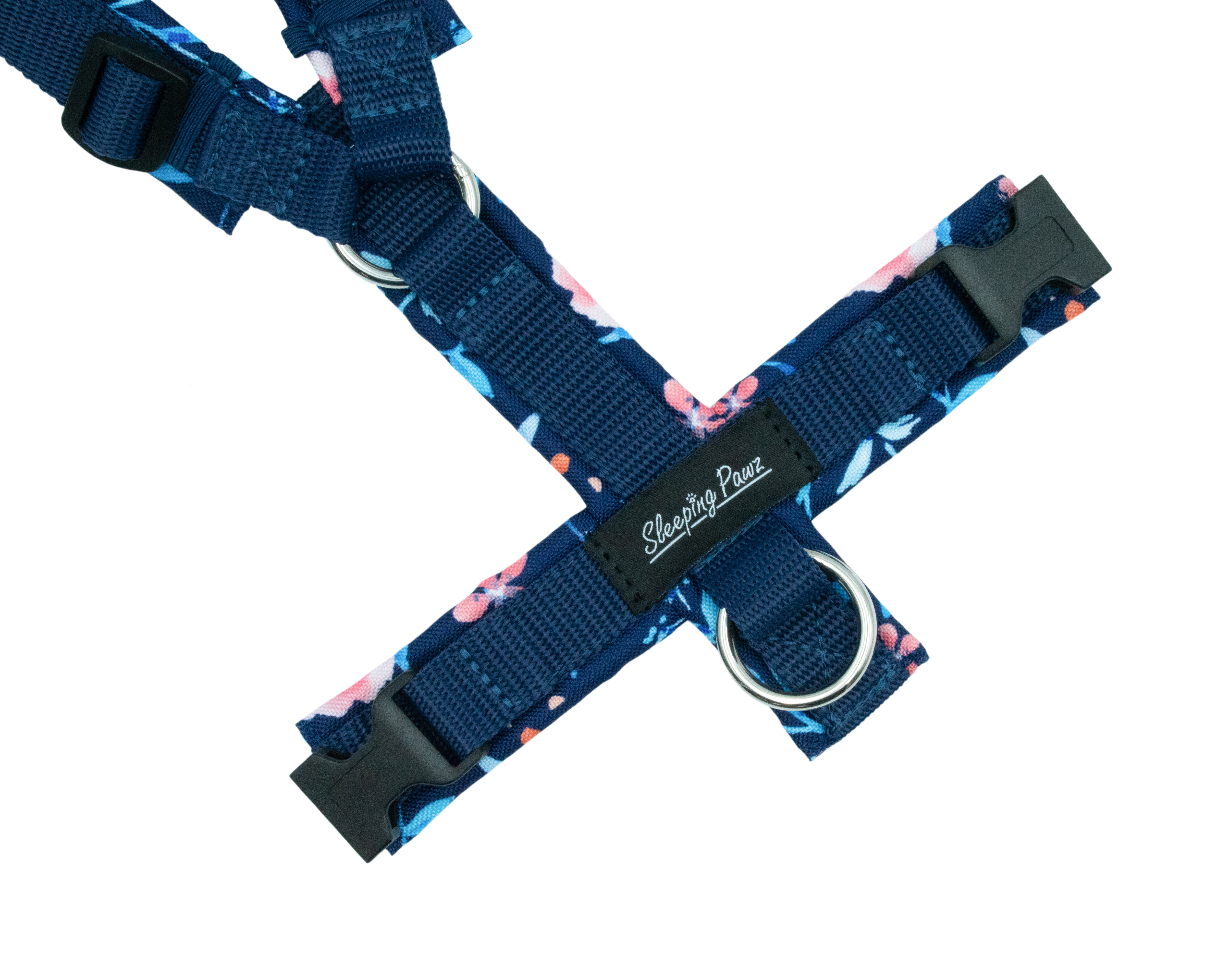 Gr. S Paeonia x Marineblau