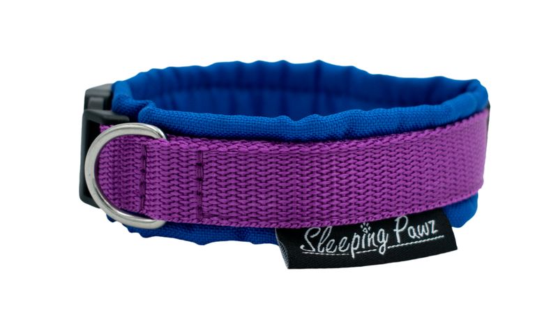 Gr. S Blau x Fuchsia