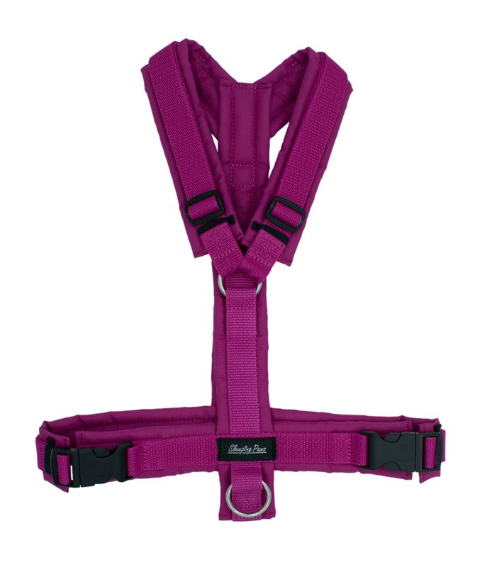 Gr. L Brombeere x Pink Gr. L Brombeere x Pink
