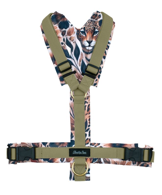 Geschirr Konfigurator Eigene Designs