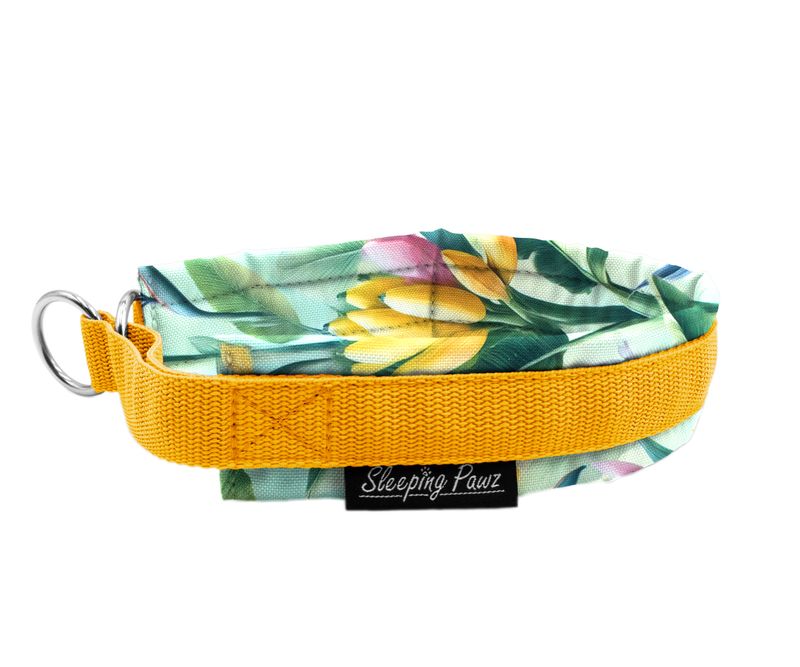Zugstopp Halsband Konfigurator Eigene Designs