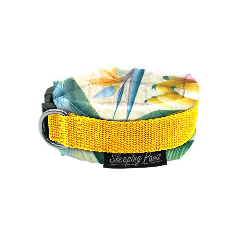 Halsband Konfigurator Eigene Designs