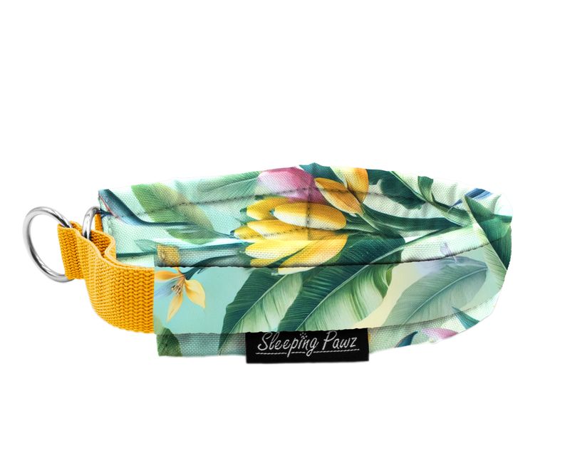 Zugstopp Halsband Konfigurator Eigene Designs - Verzierung