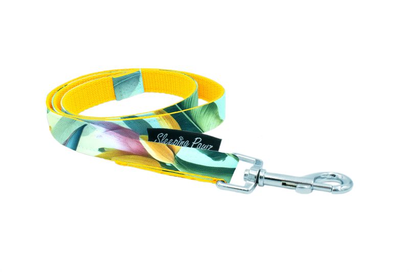 Gurtbandleine Kombi Hausleine /Trainingsleine Konfigurator Eigene Designs