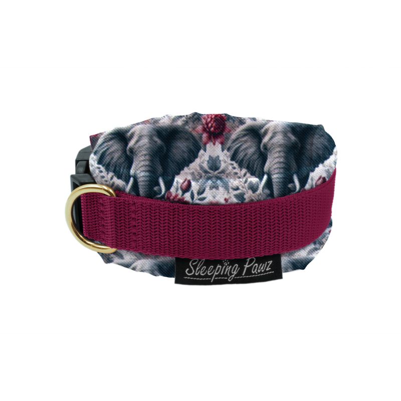 Halsband Konfigurator Eigene Designs