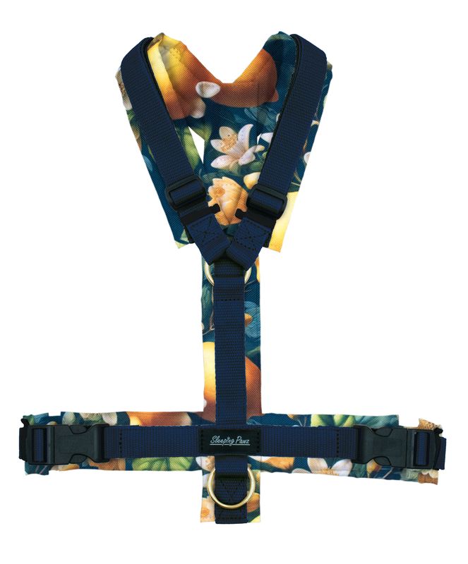 Geschirr Konfigurator Eigene Designs