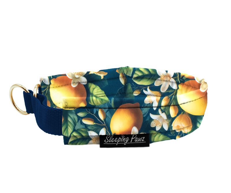 Zugstopp Halsband Konfigurator Eigene Designs - Verzierung