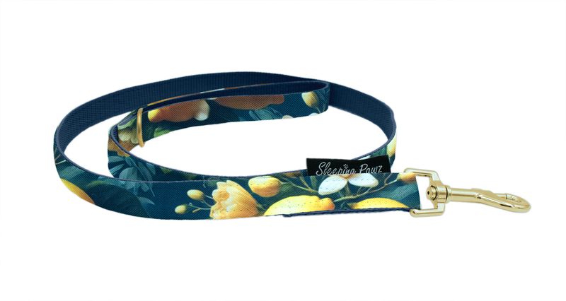 Gurtband Leine Kombi mit fester Handschlaufe