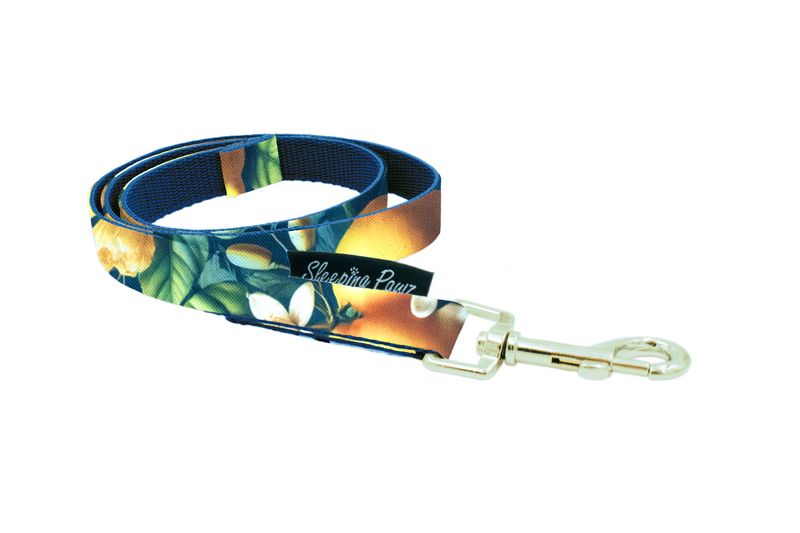 Gurtbandleine Kombi Hausleine /Trainingsleine Konfigurator Eigene Designs