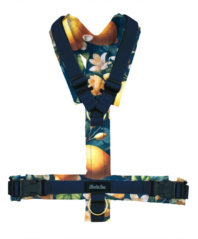 Geschirr Konfigurator Eigene Designs - Rückenverzierung