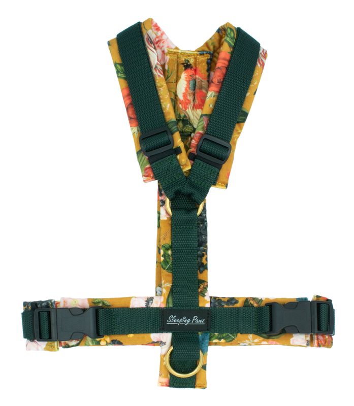 Gr. M Eden Samt x Dunkelgrün