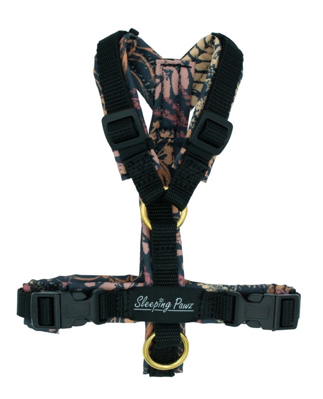 Gr. XXS Golden Fern x Schwarz Gr. XXS Golden Fern x Schwarz