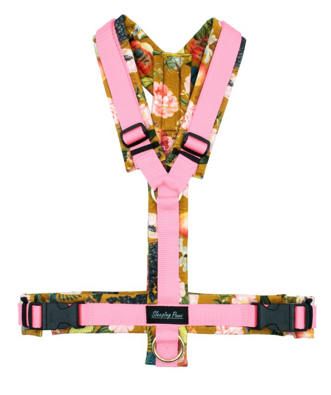 Eden Kollektion Geschirr Konfigurator