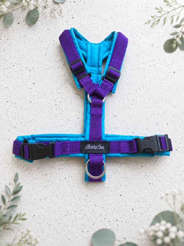 Gr. S Aqua Türkisblau x Lila Gr. S Aqua Türkisblau x Lila