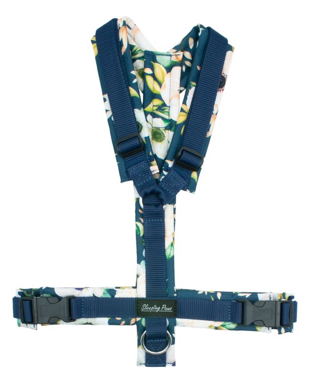 Gr. L Windröschen x Marineblau