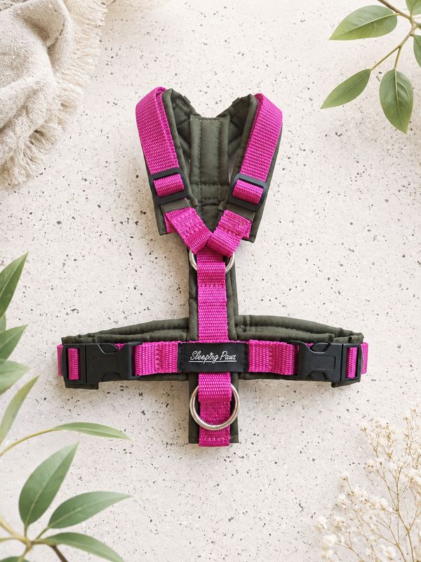 Gr. XS Oliv x Pink Gr. XS Oliv x Pink