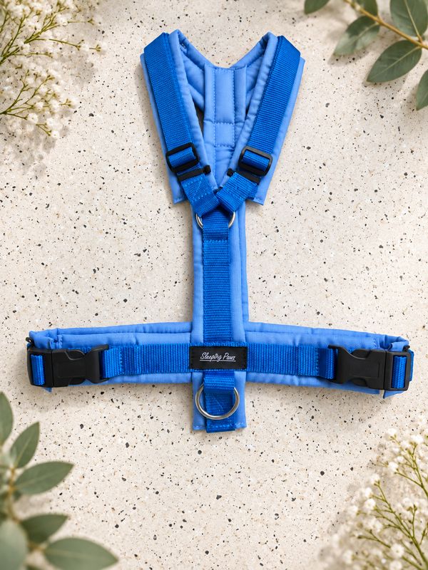 Gr. L Himmelblau x Blau