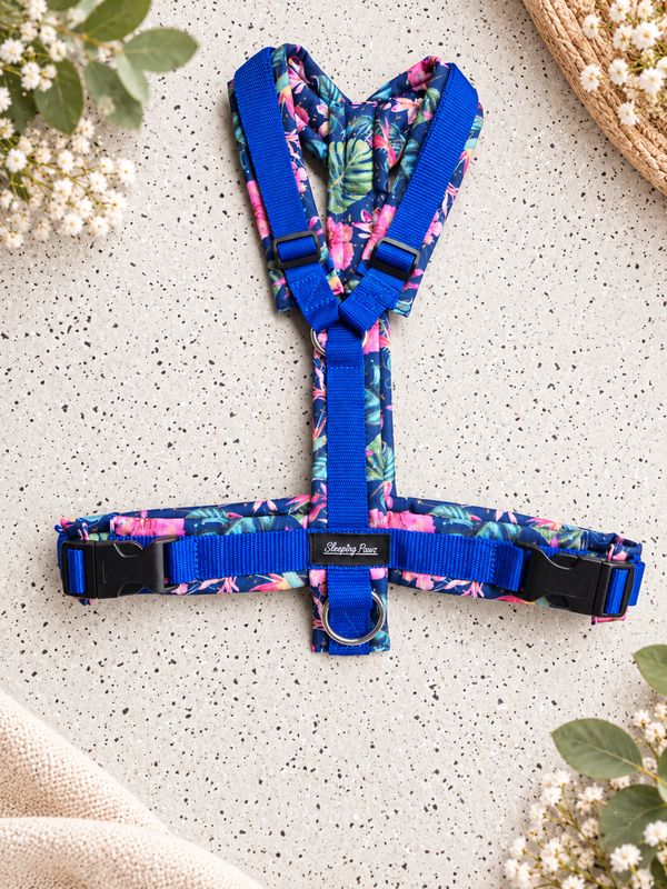 Gr. L Tropical Jungle x Royalblau