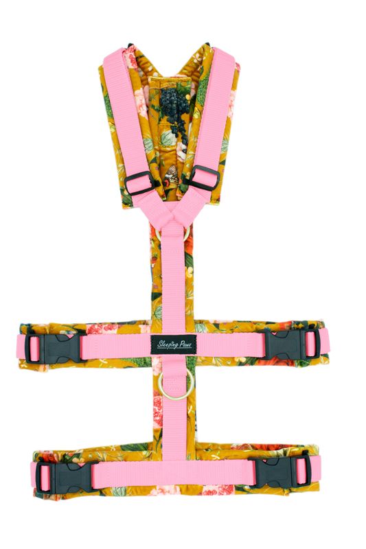 Eden Kollektion Sicherheitsgeschirr Konfigurator