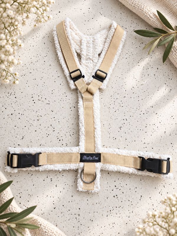 Gr. XL Teddy x Beige