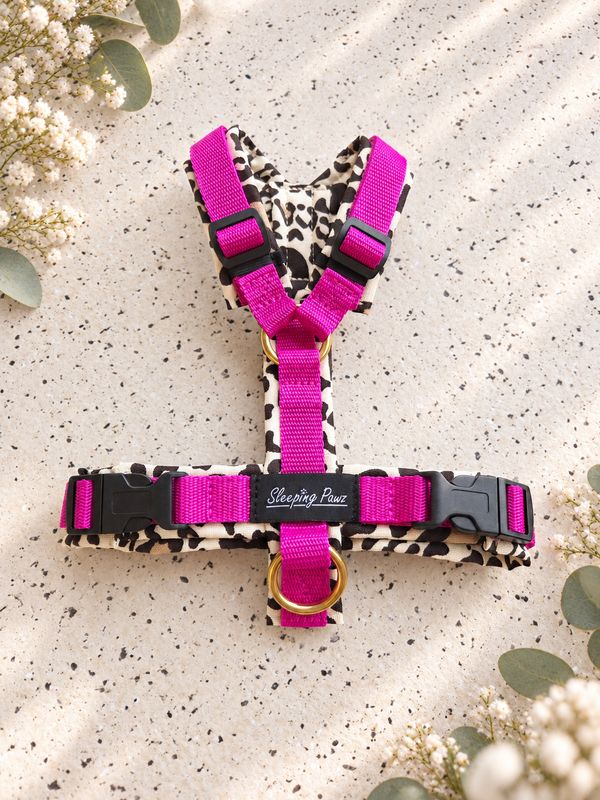Gr. XS Leolove x Pink