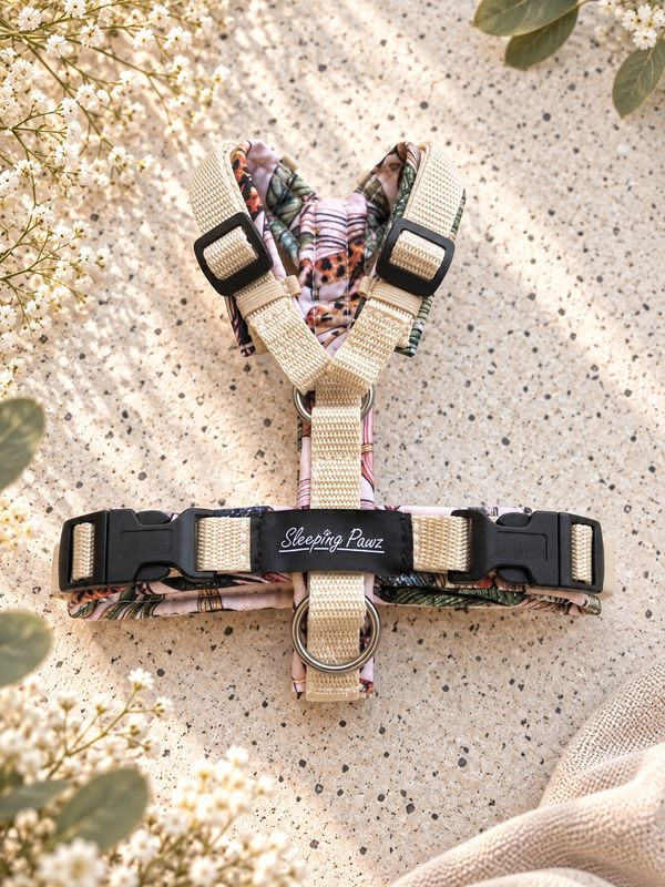 Gr. XXS Cheetah in the Jungle x Beige
