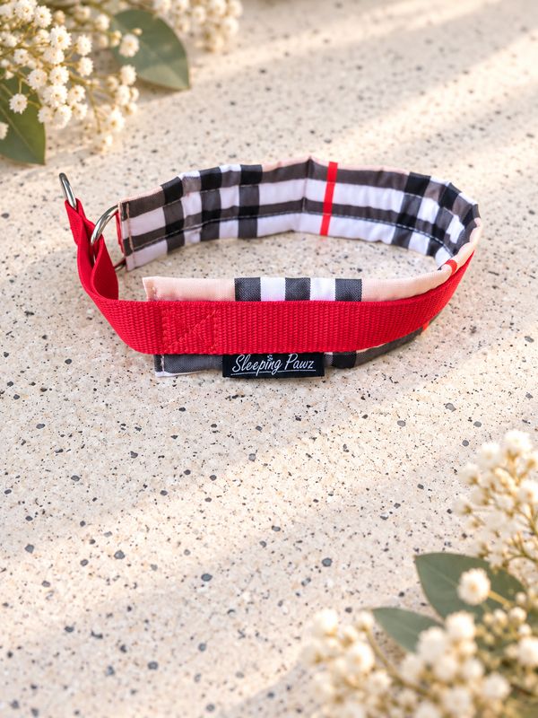 Gr. L Brit-Chic x Rot Gr. L Brit-Chic x Rot