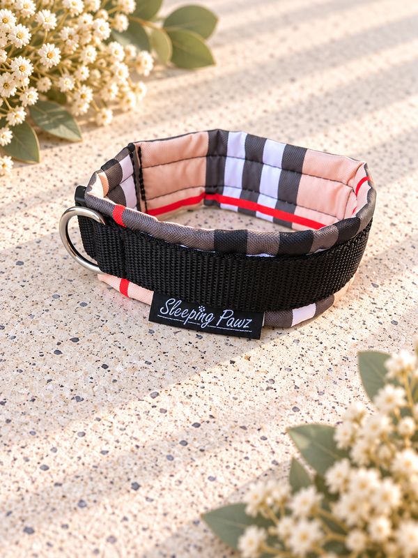 Gr. M Brit-Chic x Schwarz