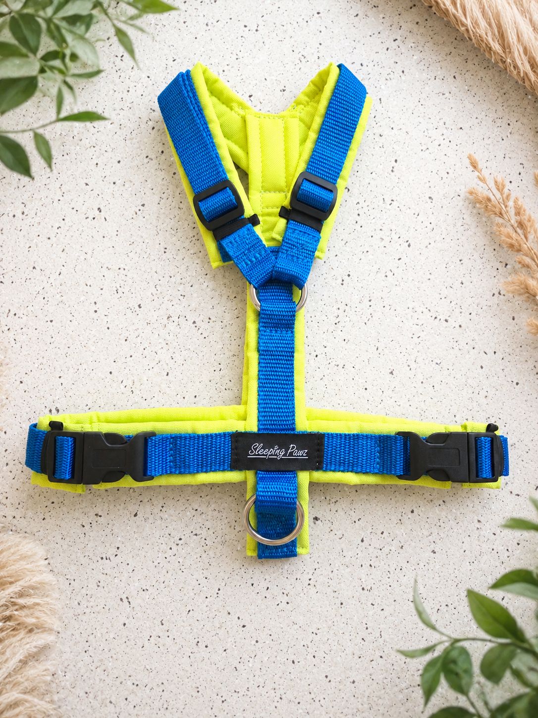Gr. S Neon Kiwi x Blau
