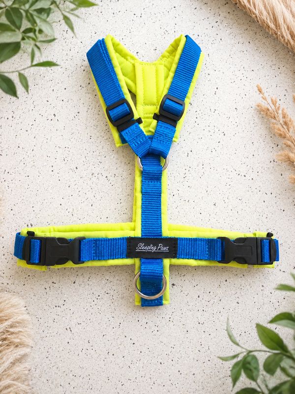 Gr. S Neon Kiwi x Blau