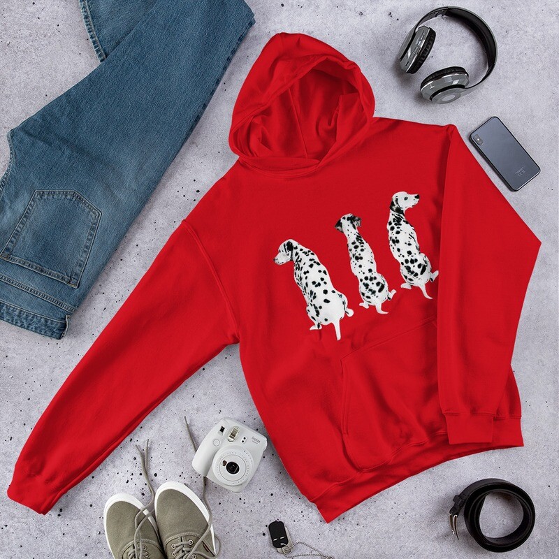 Sudadera Dálmatas