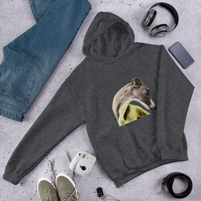 Sudadera  Galgo