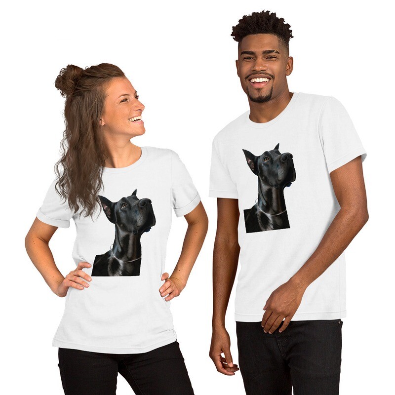 Camiseta Gran Danés