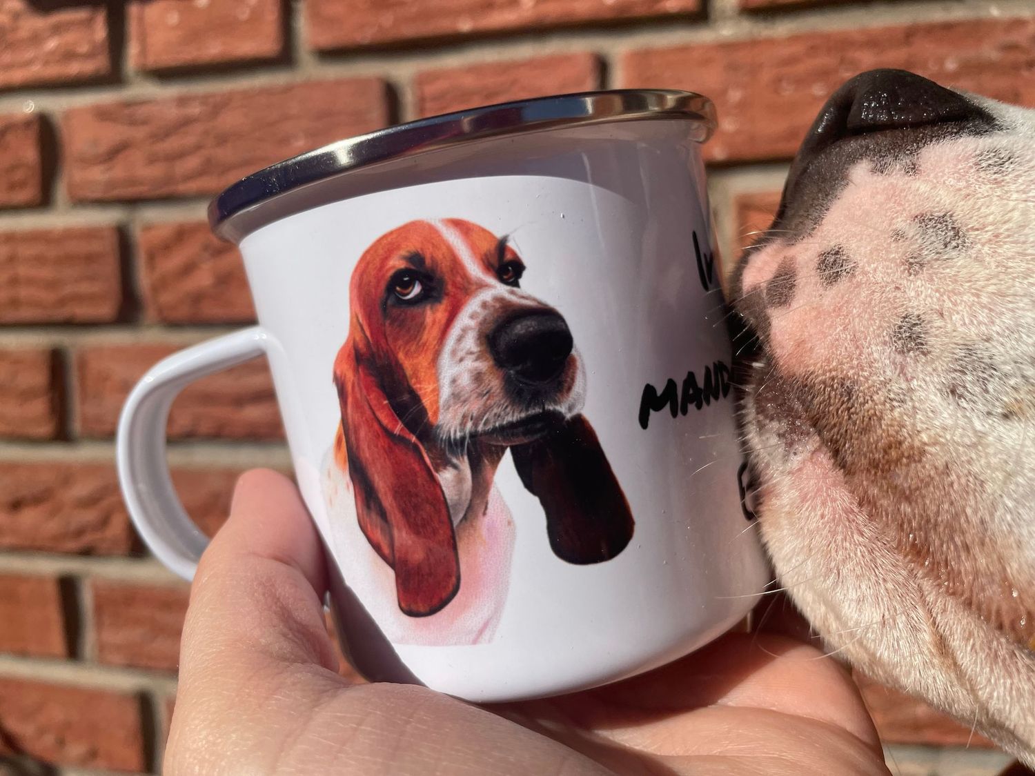 Taza Camping