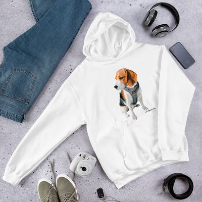 Sudadera Wifi