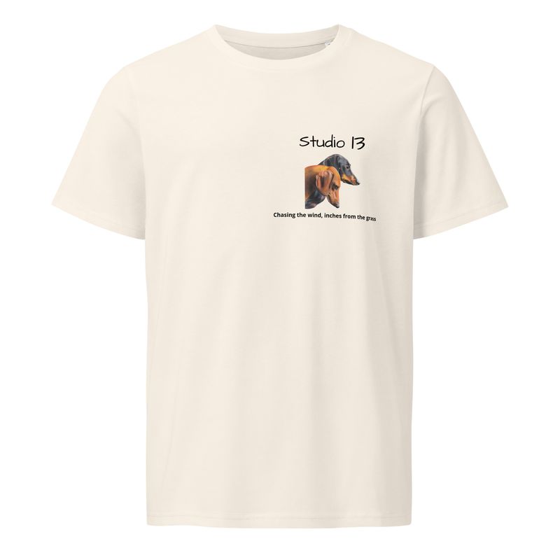Studio 13 Essentials