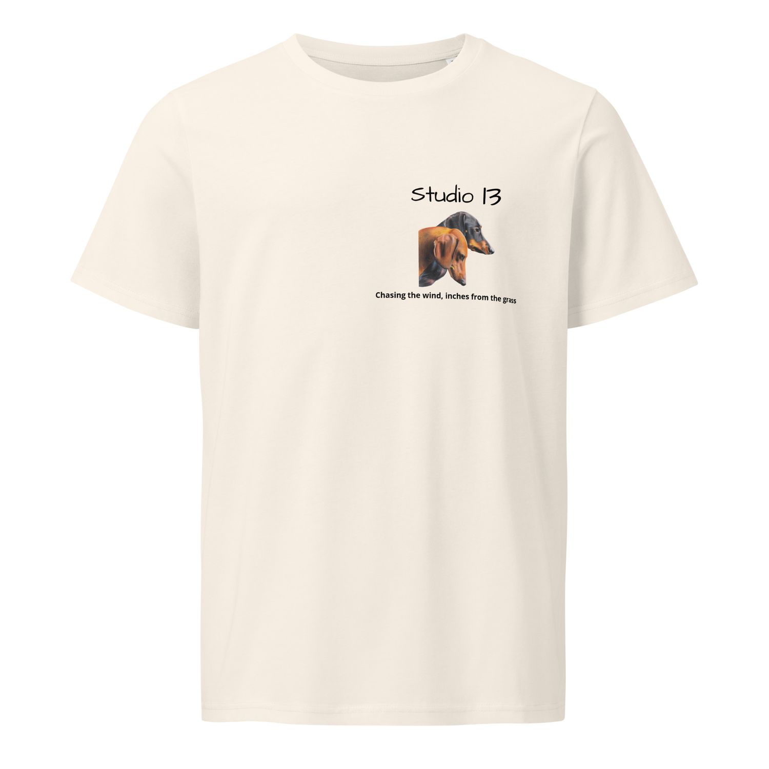 Studio 13 Essentials