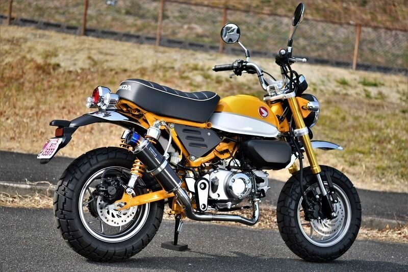 BEAMS R-EVO CARBONE