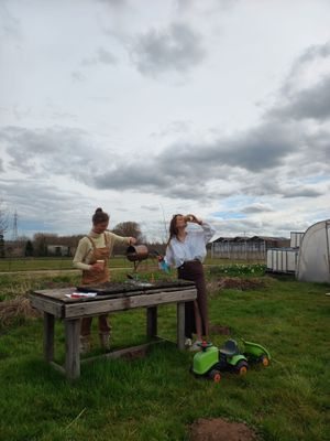 VOLZET - Workshop 'zaai je eigen plukboeket' incl. sweet High coffee/tea - zondag 11 mei van 10u tot 12u30