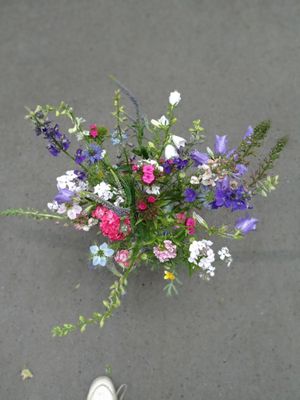 Boeket - vers van het veld
