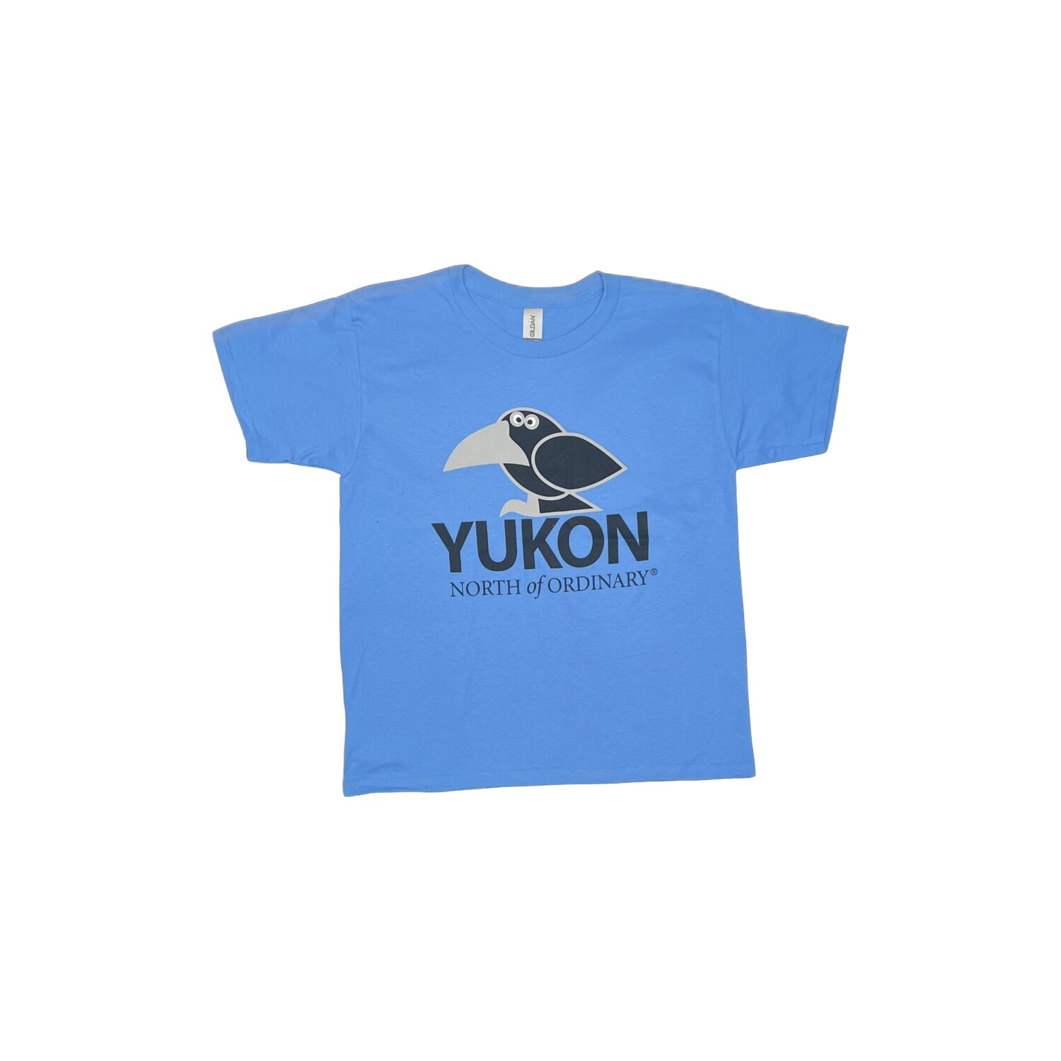 Youth Cartoon Raven T-Shirt - Smurf Blue