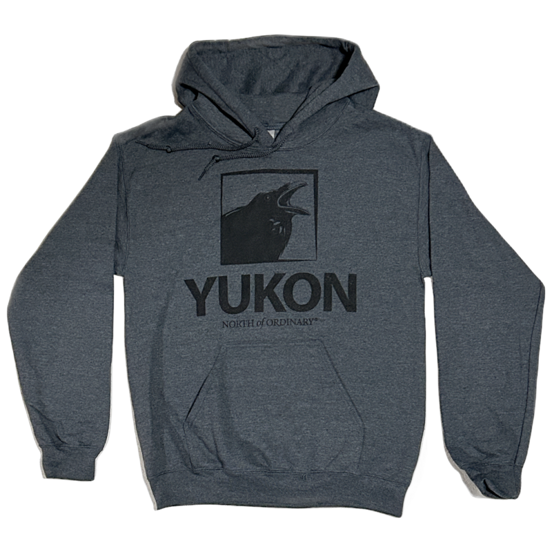 Unisex Box Raven Hoodie - Charcoal