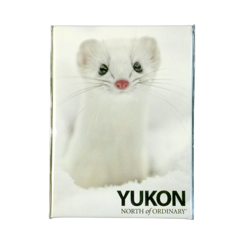 Scenery Ermine Weasel Magnet