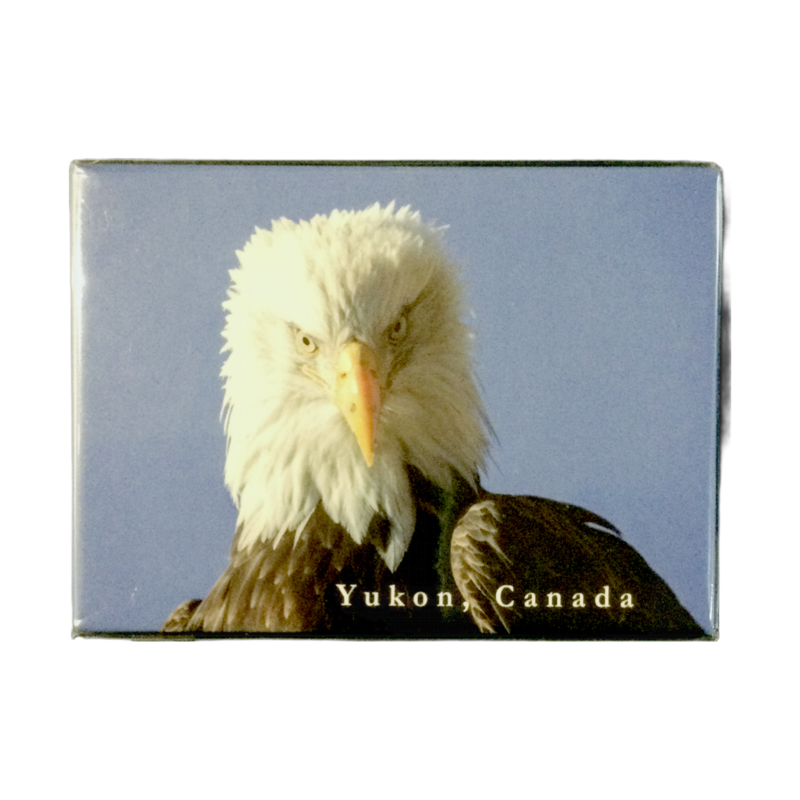 Scenery Eagle Magnet